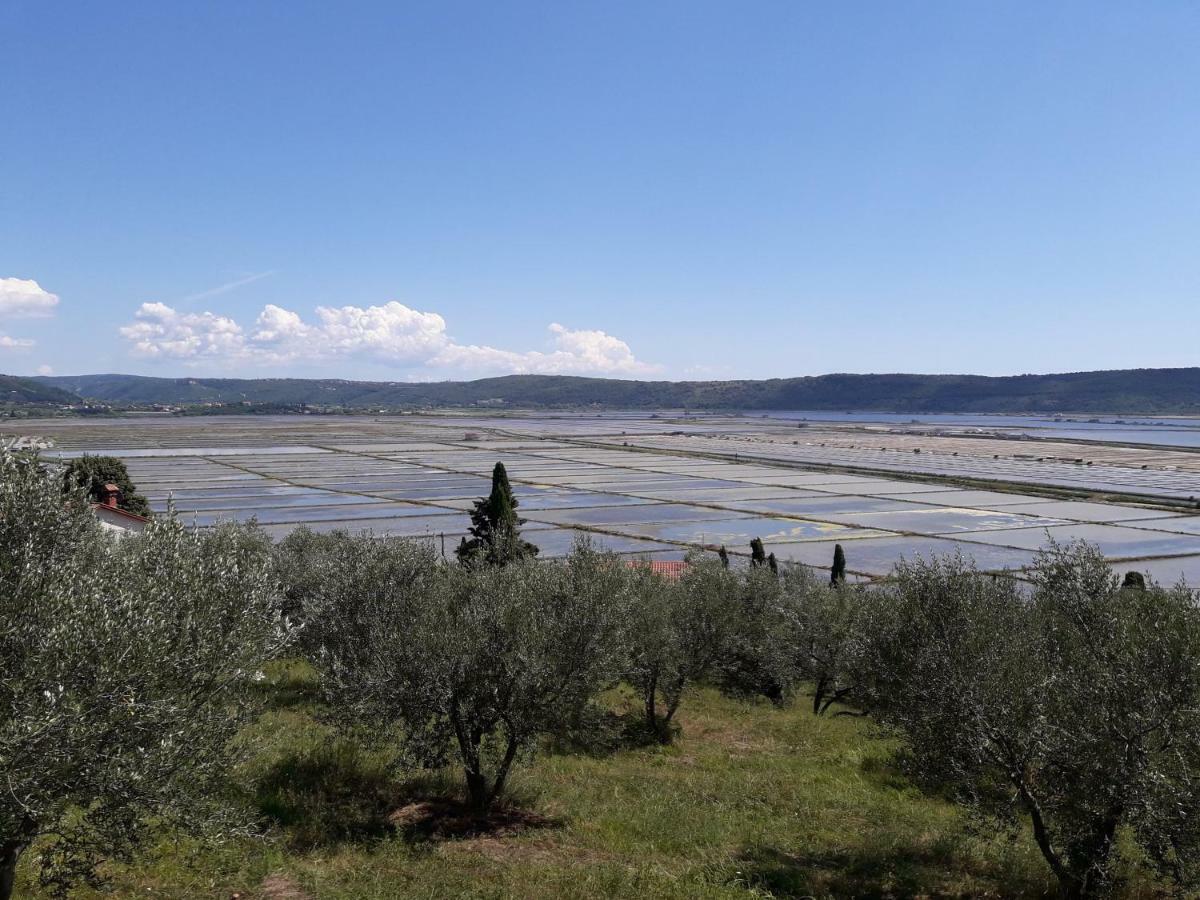 Apartma Kocevar Portoroz Luaran gambar